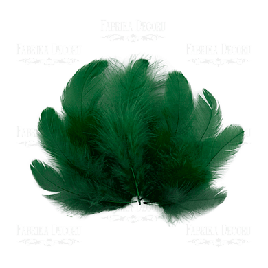 набор перьев мини "темно-зеленые"