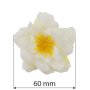 Clematis flower milky white, 1 pc - 1