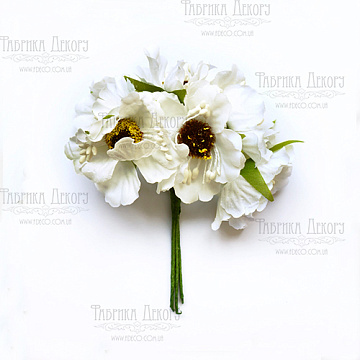 Set of poppies cream, 6 pcs