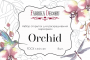 Set of 8pcs 10х15cm for coloring by markers Orchid EN