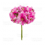 Set of flowers of the apple tree pink with white, 6 pcs