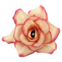 Miniature rose flower, Cream with pink, 1pc - 0