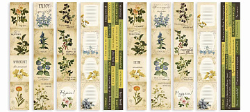 Streifenset mit Bildern zur Dekoration "Botanik Sommer"