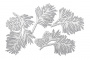 набор чипбордов winter botanical diary 10х15 см #759 