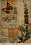 Kraft decoupage paper, 21x29,7cm, “Botanica Vintage”, #0062 Kraft decoupage paper, 21x29,7cm, “Botanica Vintage”, #0062