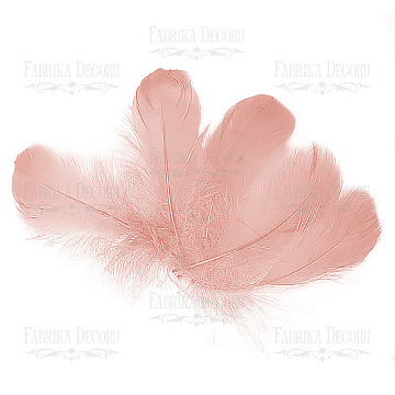 Feather set  "Vintage pink"