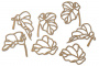 Spanplatten-Set Botanik exotisch #709
