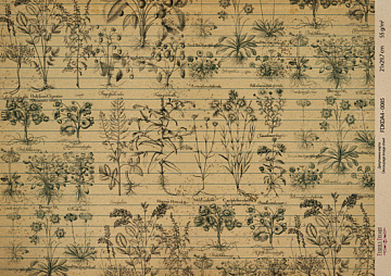 Kraft decoupage paper, 21x29,7cm, “Botanica Vintage”, #0085