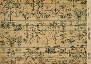 декупажная карта на крафт бумаге 21x29,7см, "ботаника винтаж", #0085 фабрика декору