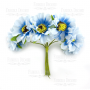 Bouquet of chamomile blue, 6pcs