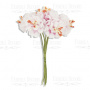 Set of flowers of the apple tree pink shabby, 6 pcs