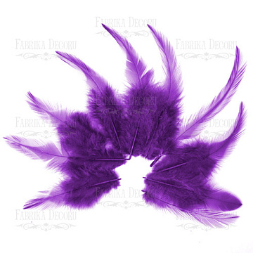 Feathers set with a tail "Purple"