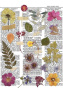 Overlay z nadrukiem do scrapbookingu, Botanical story