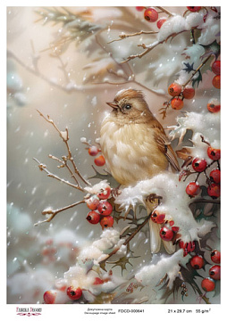 Decoupage card #0641, 21x29,7 cm