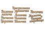 Чипборд-надписи Мамины и папины сокровища 10х15 см #242