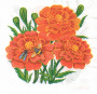 Decoupage napkin "Marigold"