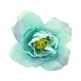 Tea rose flower, Mint, 1pc - 0