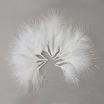 Feathers set Down "White"