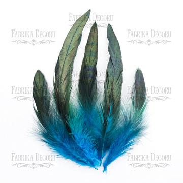Feathers set "Turquoise black"