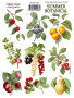 Set of stickers 9pcs Summer botanical diary  #188