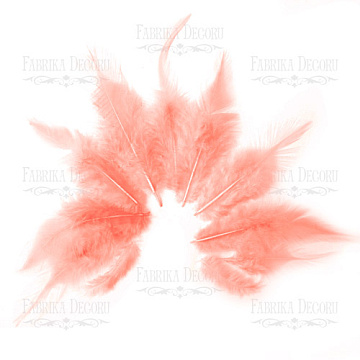 Feathers set with a tail "Coral"