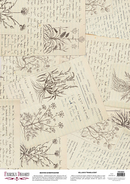 Arkusz kalki z nadrukiem, Deco Vellum, format A3 (11,7" х 16,5"), "Botany summer Dziennik przyrodnika"