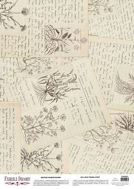 deco vellum colored sheet botany summer naturalist's diary, a3 (11,7" х 16,5")