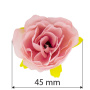 Eustoma flowers, Light pink 1pc - 1