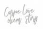 Chipboard "Carpe diem, love story" #429 - 0