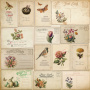Doppelseitiges Scrapbooking-Papierset Spring botanical story, 20cm x 20cm, 10 Blatt