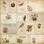 Zestaw papieru do scrapbookingu "Spring botanical story", 20cm x 20cm, 10 arkuszy