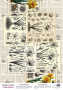 Деко веллум (лист кальки с рисунком) Spring Botanical Story Нарциссы, А3 (29,7см х 42см)
