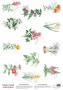 Arkusz kalki z nadrukiem, Deco Vellum, format A3 (11,7" х 16,5"), "Wildflowers 2"