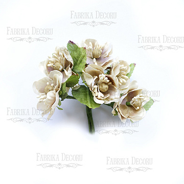 Set of large peach flowers beige, 6 pcs