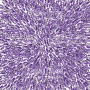 Doppelseitig Scrapbooking Papiere Satz Lavendel Provence, 30.5 cm x 30.5cm, 10 Blätter