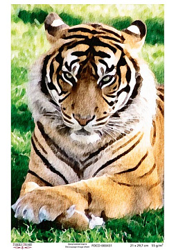 Decoupage card Tiger, watercolor #0431, 21x30cm