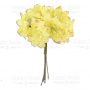  Bouquet of clematis yellow, 6pcs