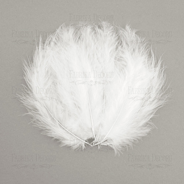 Feathers set mini "Whites"