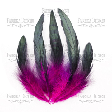 Feathers set " Fuchsia with black"