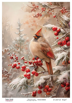 Decoupage card #0640, 21x29,7 cm