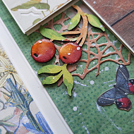 Детский альбом из коллекции "Summer botanical diary" - фото Детский альбом из коллекции "Summer botanical diary" - фото
