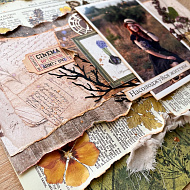 Ботанічна сторінка з гербарієм - фото