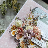 Листівки з колекції Where beauty lives - фото