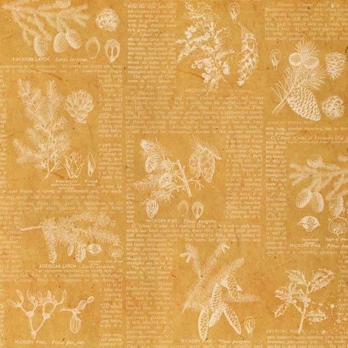 Zestaw papieru do scrapbookingu Winter botanical diary, 30,5 x 30,5cm - foto 3  - Fabrika Decoru