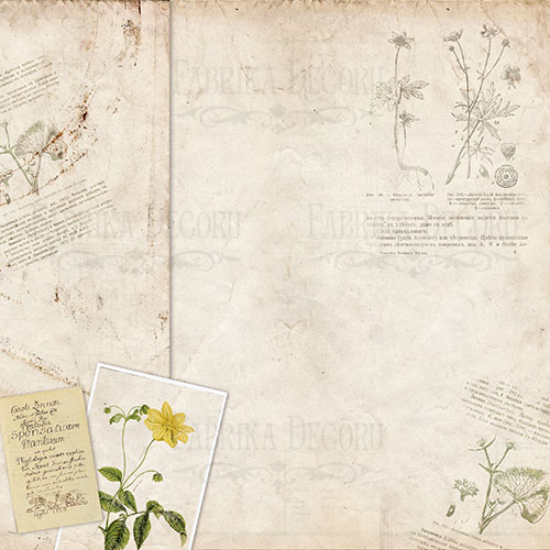 Набір двостороннього паперу для скрапбукінгу Botany summer 20 см х 20 см, 10 аркушів - фото 5
