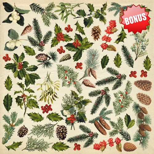 Double-sided scrapbooking paper set Winter botanical diary 8"x8", 10 sheets - foto 11