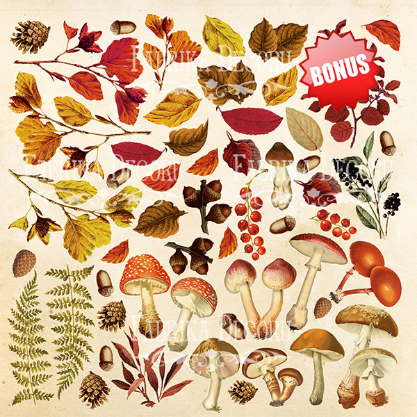 Double-sided scrapbooking paper set Botany autumn 12"x12" 10 sheets - foto 1