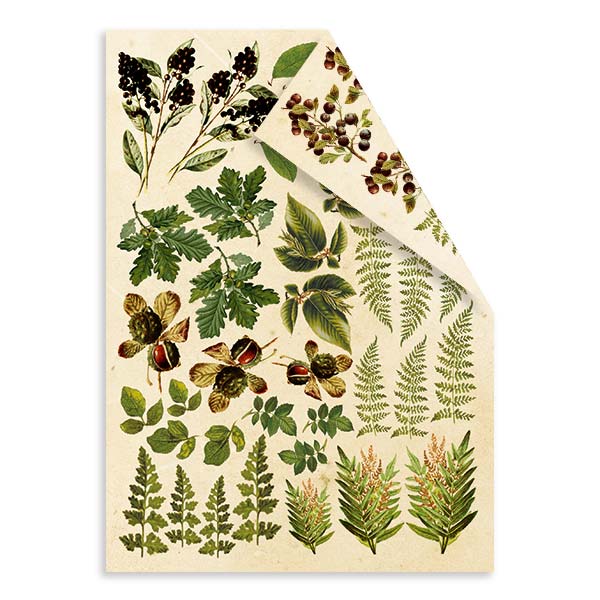 Doppelseitiges Papierset mit Bildern zum Schneiden Botanik Sommer 15x20cm - foto 2  - Fabrika Decoru