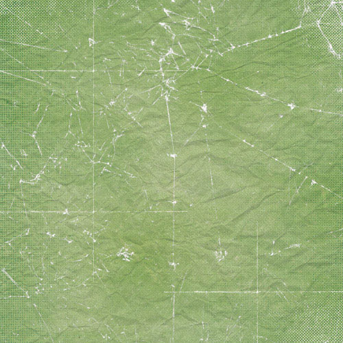 Набор бумаги для скрапбукинга Summer botanical diary 20x20 см, 10 листов - Фото 10