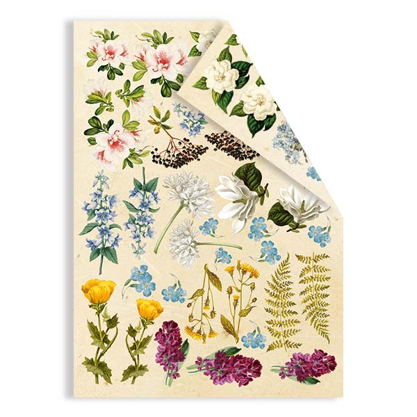 Doppelseitiges Papierset mit Bildern zum Schneiden Botanik Sommer 15x20cm - foto 0  - Fabrika Decoru